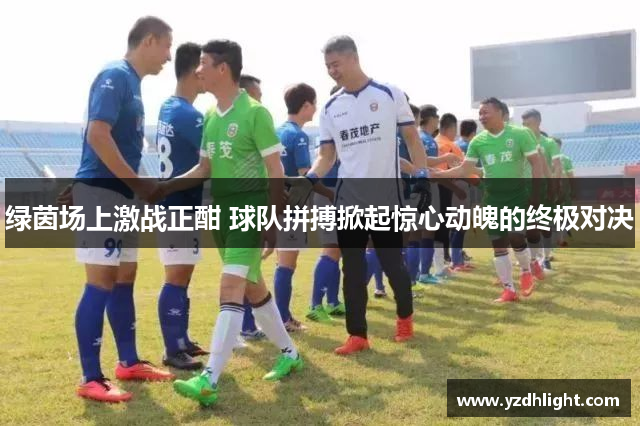 绿茵场上激战正酣 球队拼搏掀起惊心动魄的终极对决