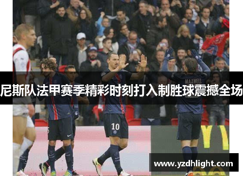尼斯队法甲赛季精彩时刻打入制胜球震撼全场