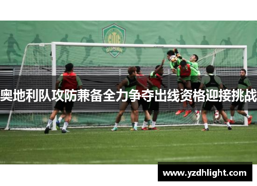 奥地利队攻防兼备全力争夺出线资格迎接挑战