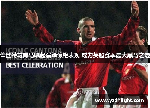蕾丝特城黑马崛起演绎惊艳表现 成为英超赛季最大黑马之选