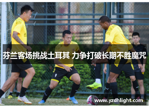 芬兰客场挑战土耳其 力争打破长期不胜魔咒