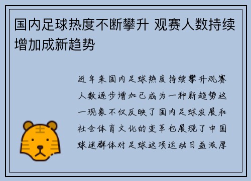 国内足球热度不断攀升 观赛人数持续增加成新趋势