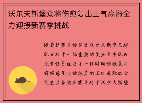 沃尔夫斯堡众将伤愈复出士气高涨全力迎接新赛季挑战