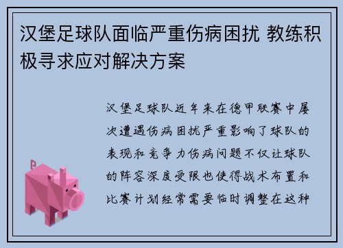 汉堡足球队面临严重伤病困扰 教练积极寻求应对解决方案