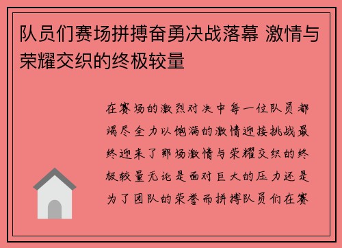 队员们赛场拼搏奋勇决战落幕 激情与荣耀交织的终极较量